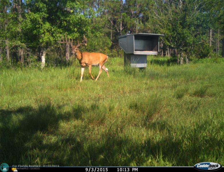 Duplex, Triplex and Fourplex Images