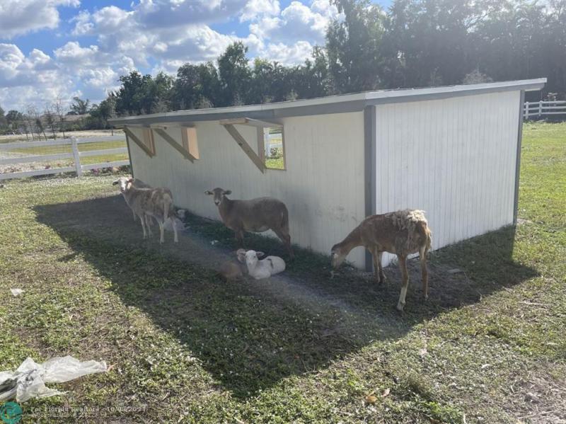 Duplex, Triplex and Fourplex Images