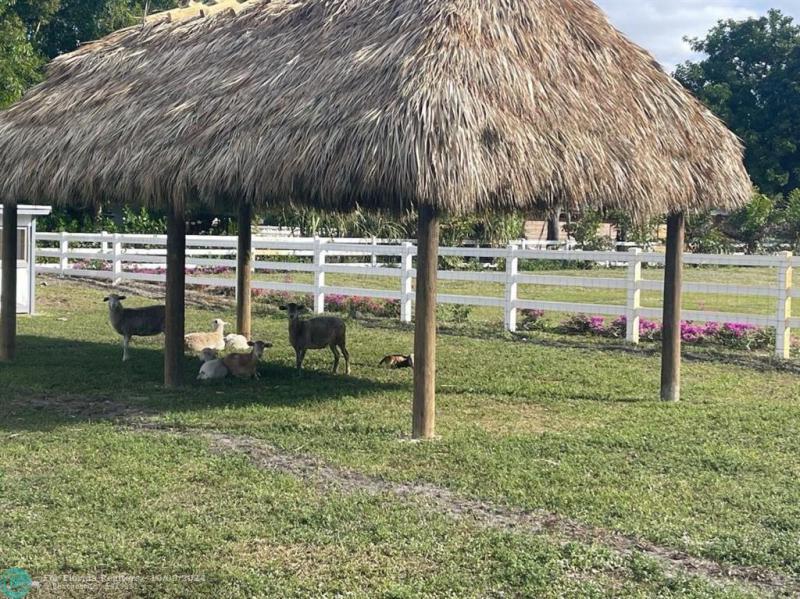 Duplex, Triplex and Fourplex Images