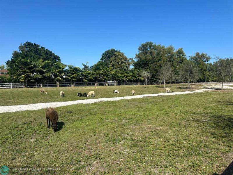 Duplex, Triplex and Fourplex Images