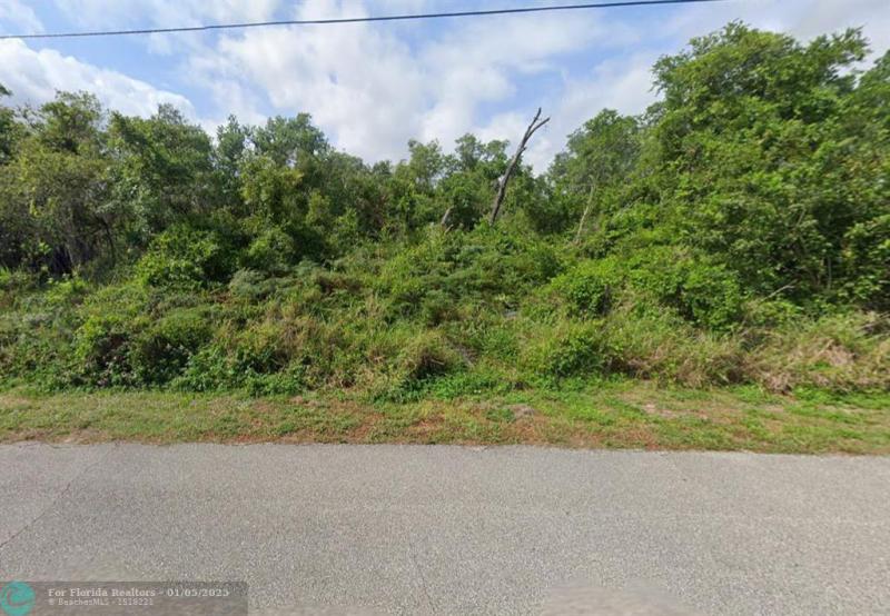 Duplex, Triplex and Fourplex Images