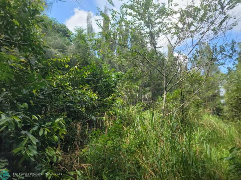 Duplex, Triplex and Fourplex Images