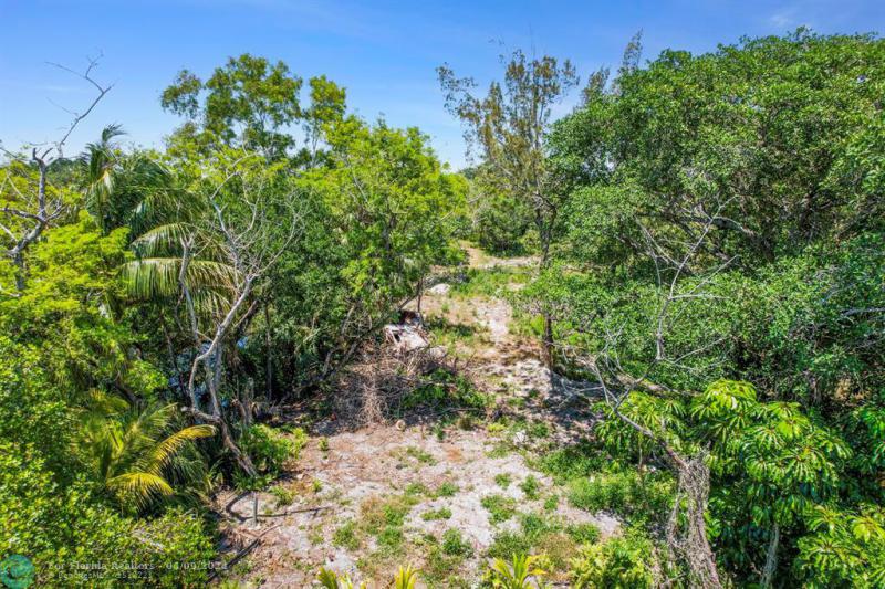 Duplex, Triplex and Fourplex Images