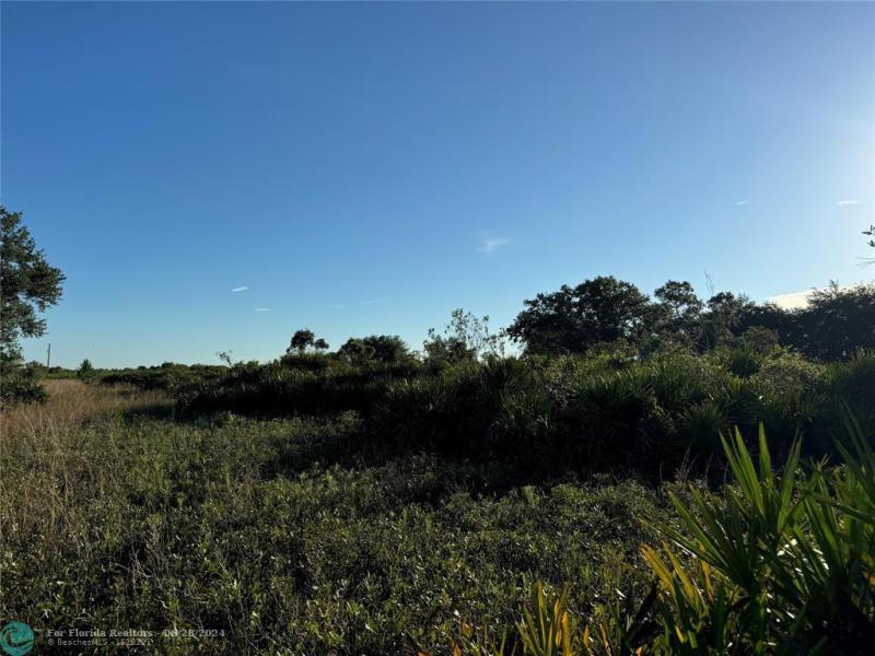 Duplex, Triplex and Fourplex Images