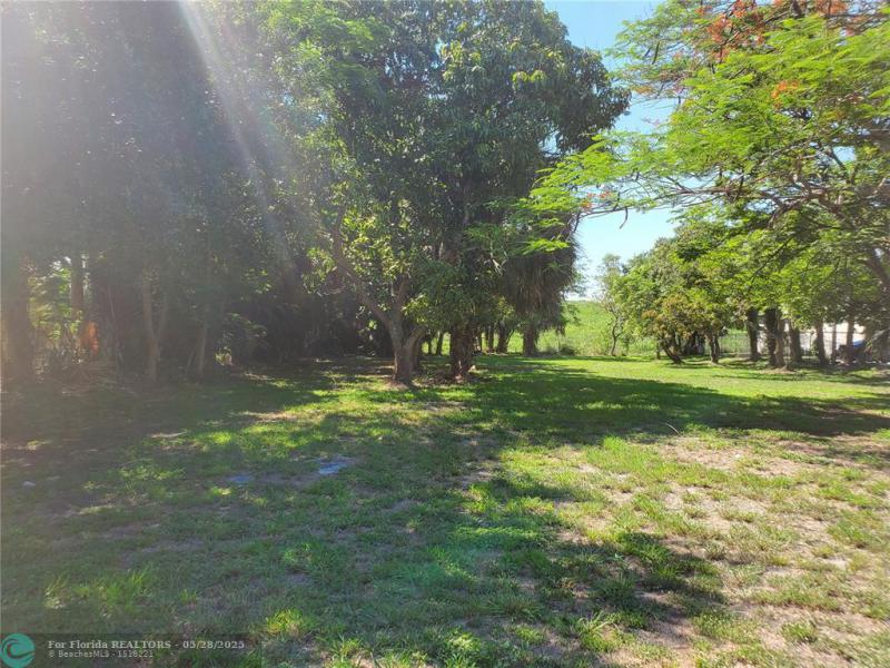 Duplex, Triplex and Fourplex Images