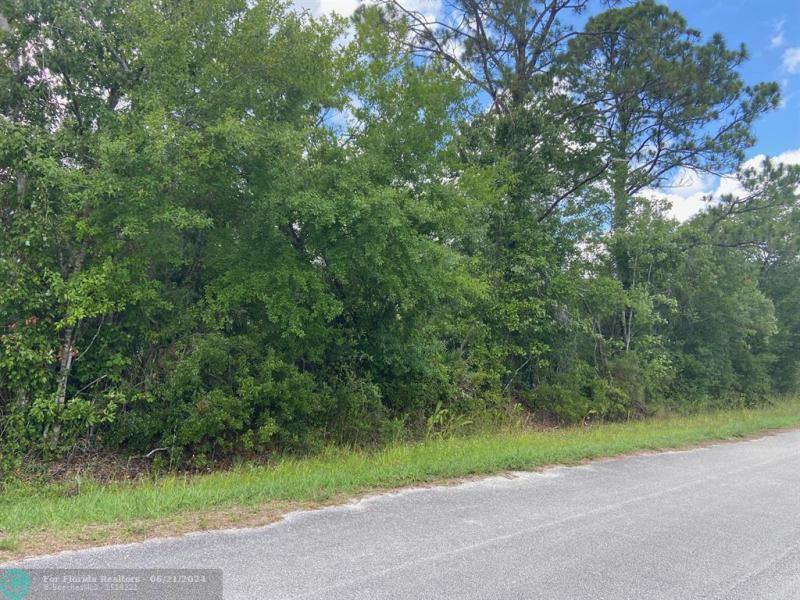 Duplex, Triplex and Fourplex Images