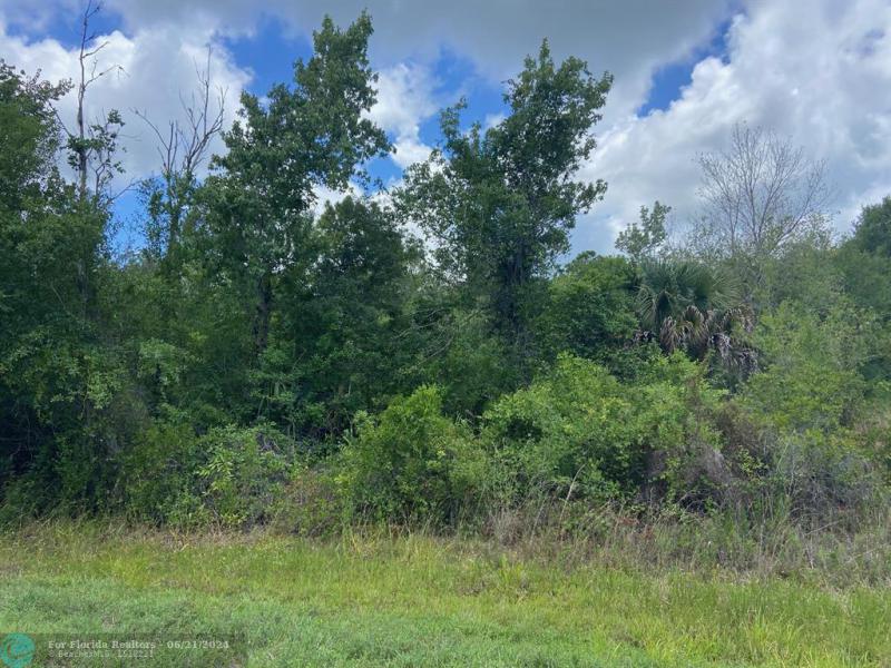 Duplex, Triplex and Fourplex Images