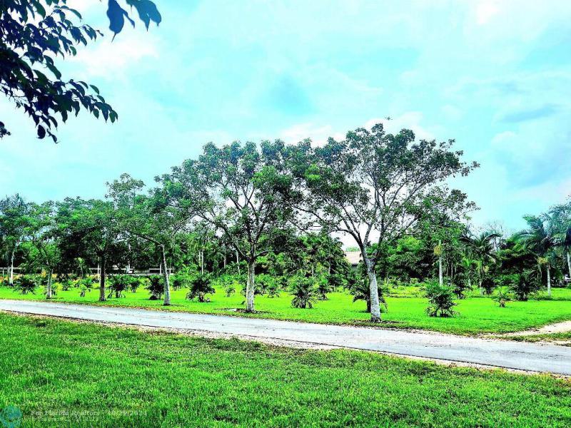 Duplex, Triplex and Fourplex Images