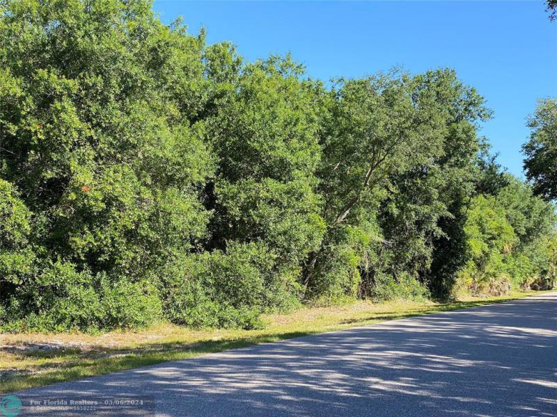 Duplex, Triplex and Fourplex Images