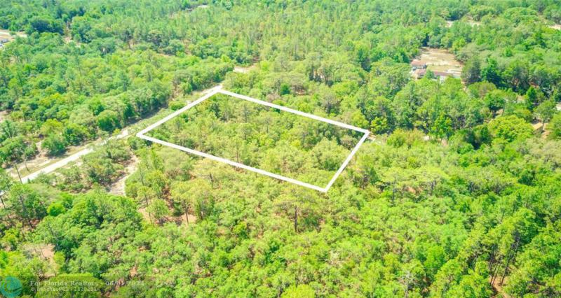 Duplex, Triplex and Fourplex Images