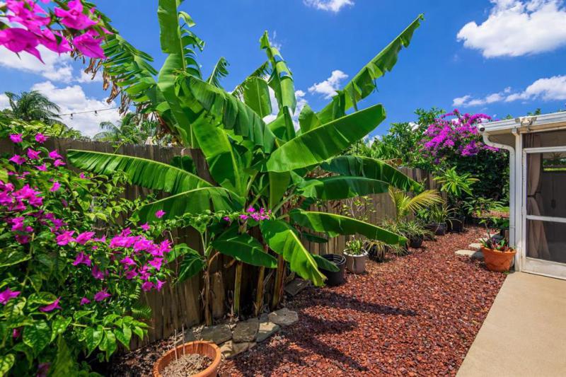 Duplex, Triplex and Fourplex Images