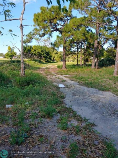 Duplex, Triplex and Fourplex Images