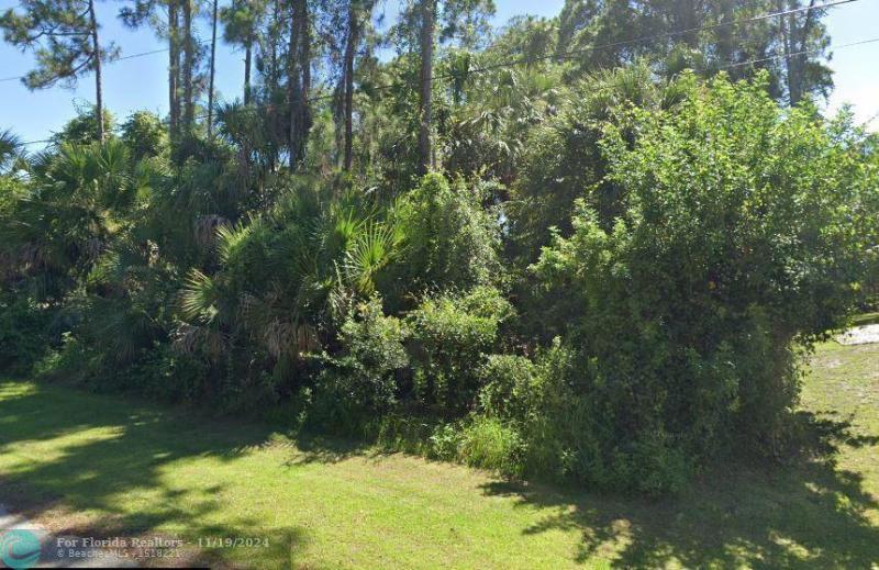 Duplex, Triplex and Fourplex Images