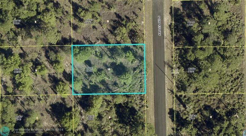 Duplex, Triplex and Fourplex Images