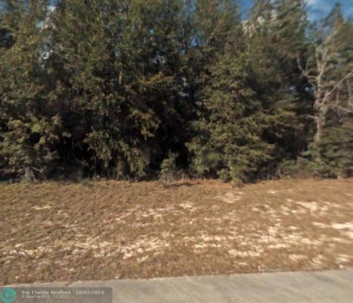 Duplex, Triplex and Fourplex Images