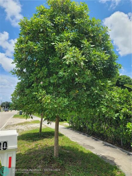  Commercial & Industrial Land Images 