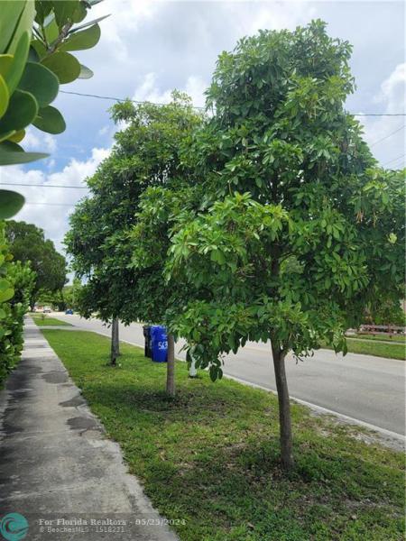  Commercial & Industrial Land Images 