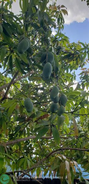  Commercial & Industrial Land Images 