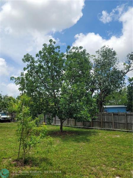  Commercial & Industrial Land Images 