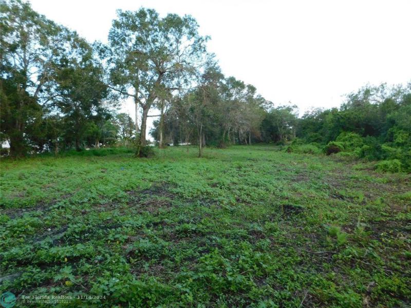 Duplex, Triplex and Fourplex Images