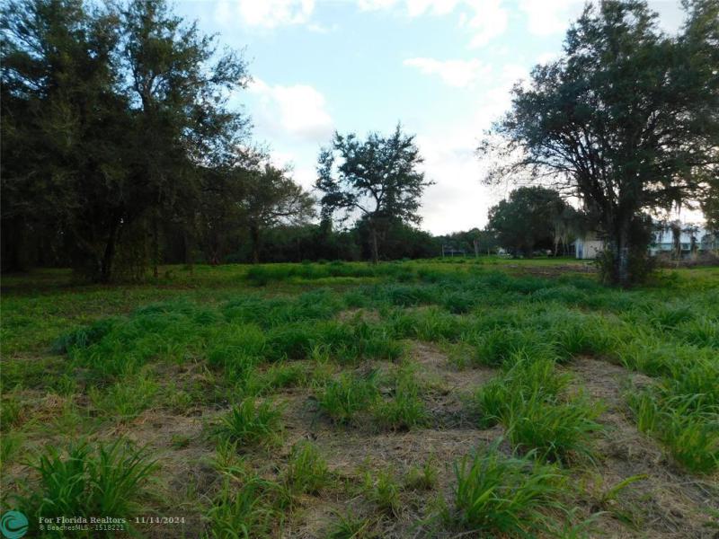 Duplex, Triplex and Fourplex Images