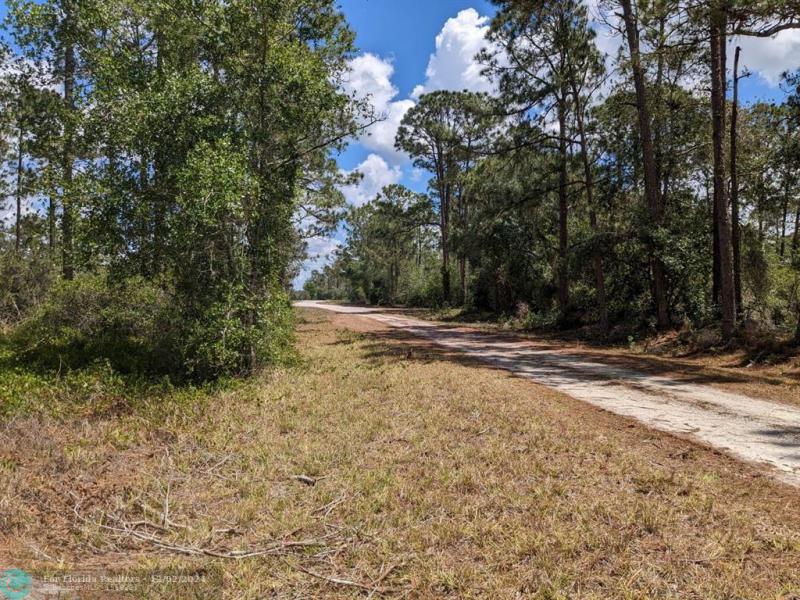 Duplex, Triplex and Fourplex Images