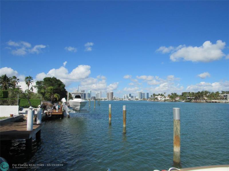  Single Family Homes Photo 5: 185 Palm Ave  Miami Beach,  FL 33139