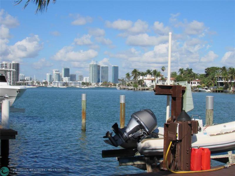  Single Family Homes Photo 6: 185 Palm Ave  Miami Beach,  FL 33139