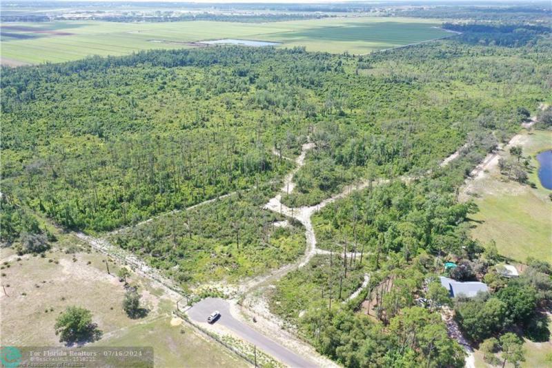 Duplex, Triplex and Fourplex Images