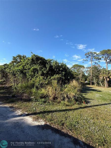 Duplex, Triplex and Fourplex Images