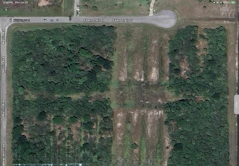 Duplex, Triplex and Fourplex Images