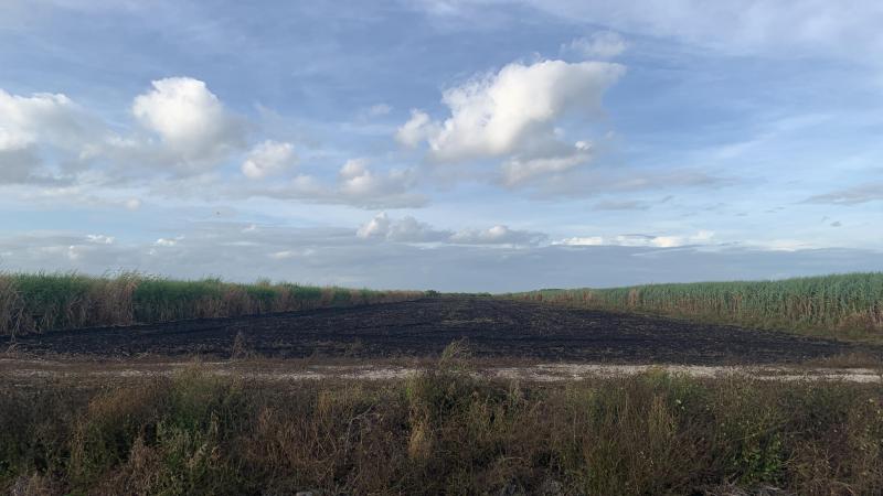  Commercial & Industrial Land Images 