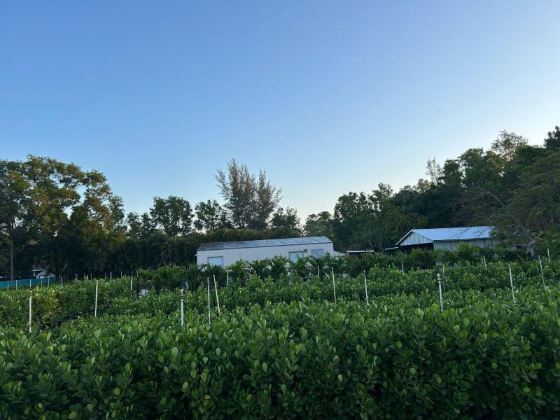  Commercial & Industrial Land Images 