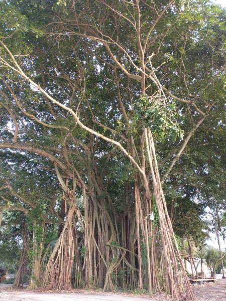  Commercial & Industrial Land Images 