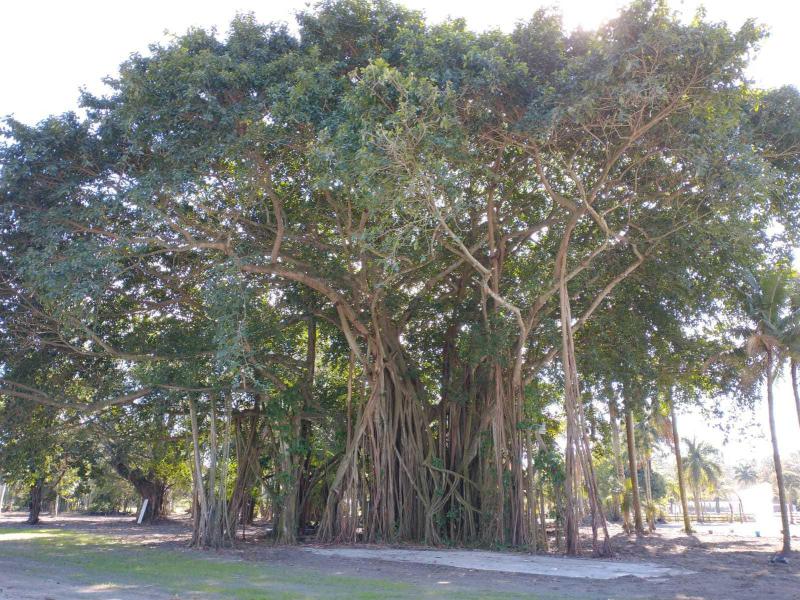  Commercial & Industrial Land Images 