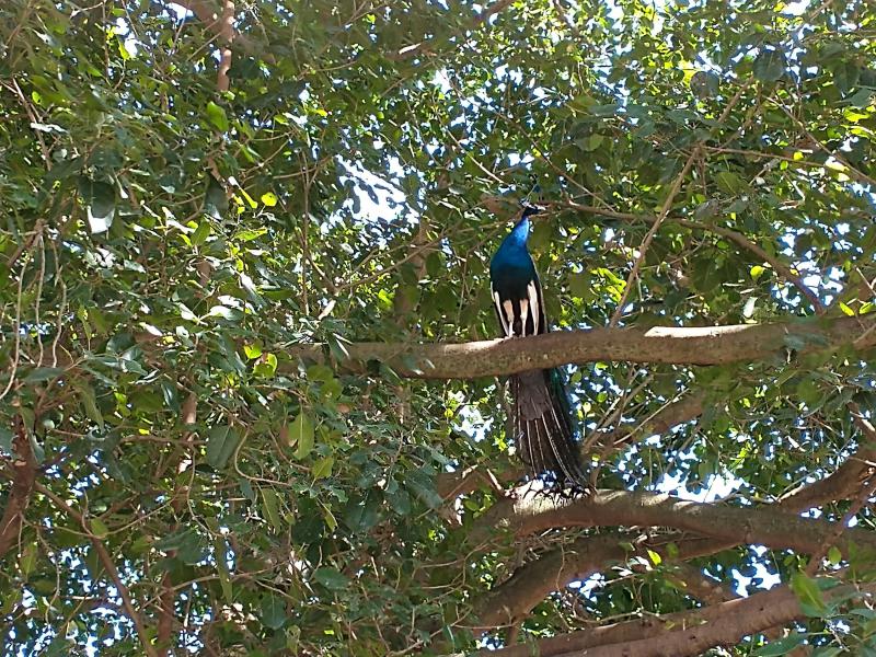  Commercial & Industrial Land Images 