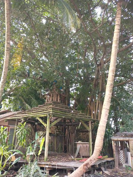  Commercial & Industrial Land Images 