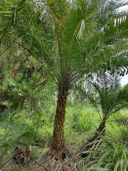  Commercial & Industrial Land Images 