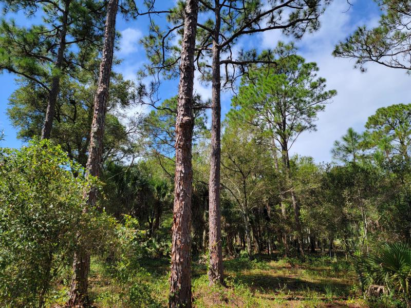  Commercial & Industrial Land Images 