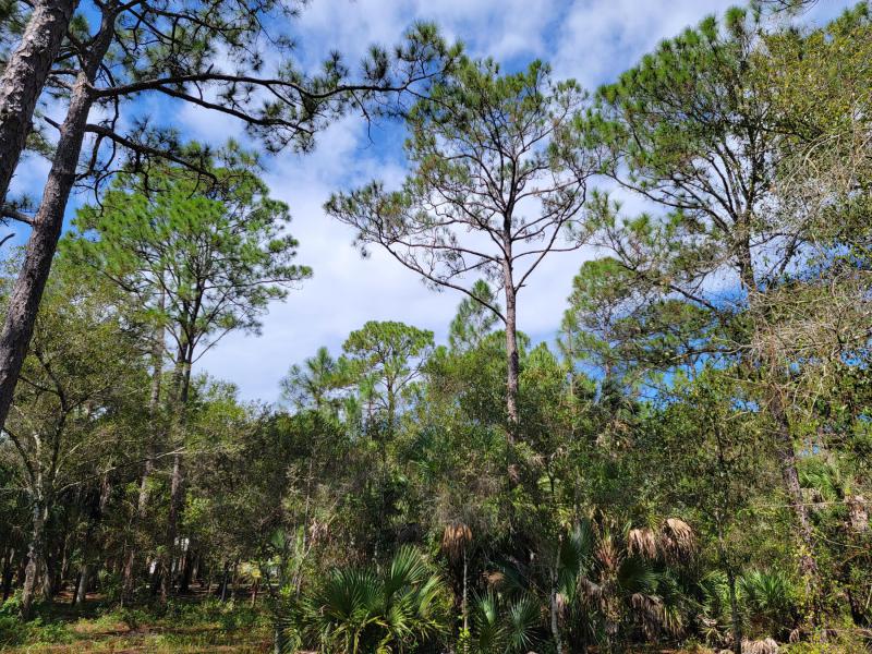  Commercial & Industrial Land Images 