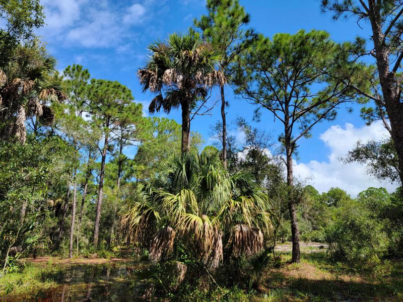  Commercial & Industrial Land Images 