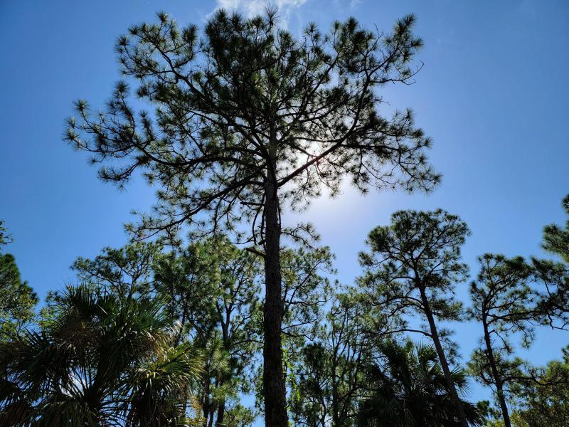  Commercial & Industrial Land Images 