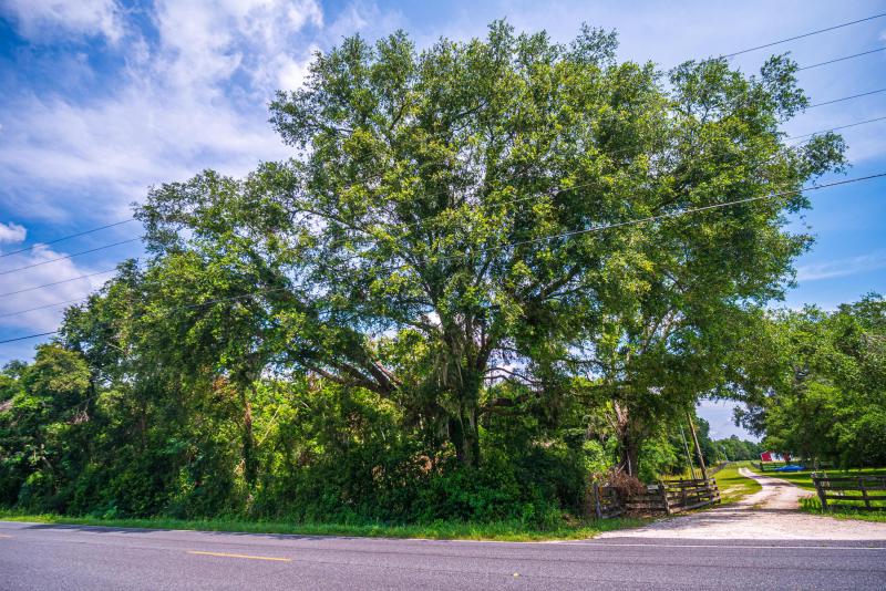  Commercial & Industrial Land Images 