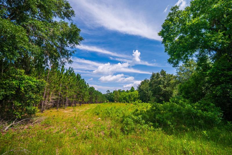  Commercial & Industrial Land Images 