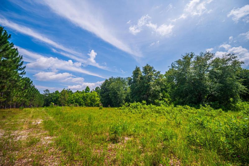  Commercial & Industrial Land Images 