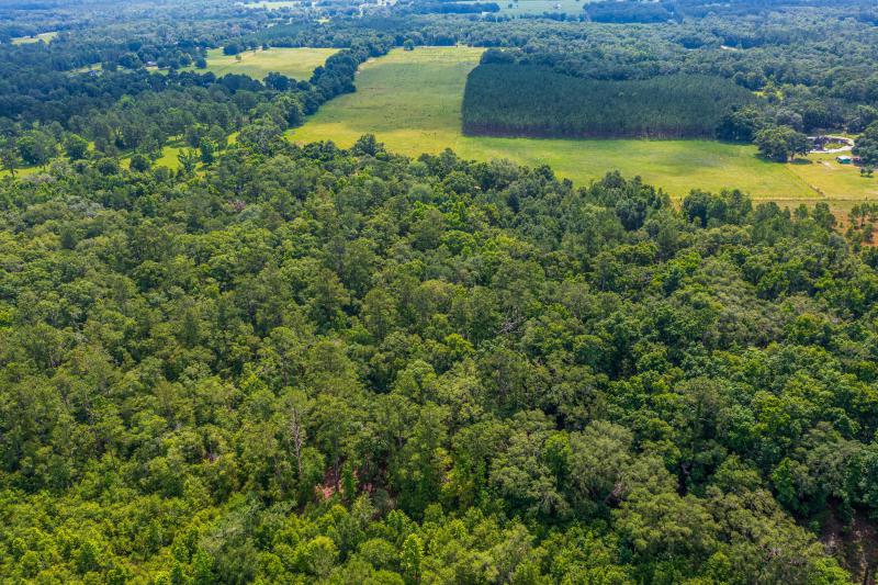  Commercial & Industrial Land Images 