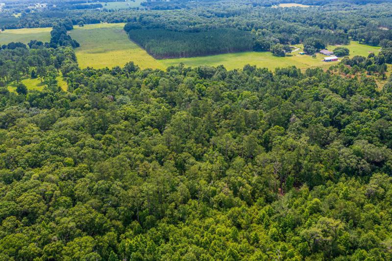  Commercial & Industrial Land Images 