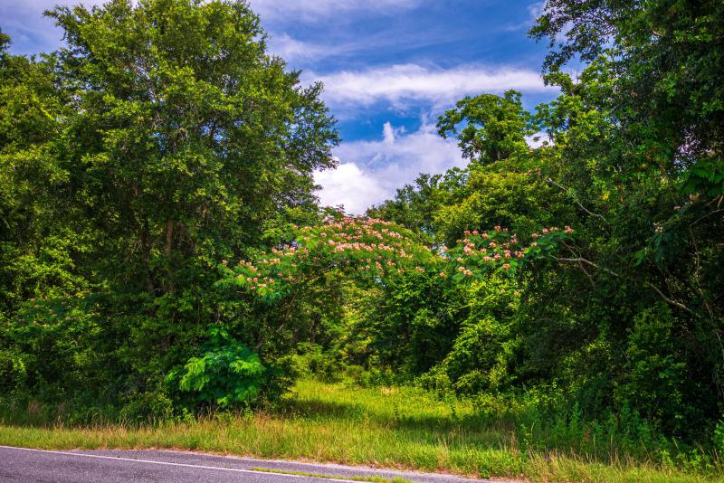  Commercial & Industrial Land Images 