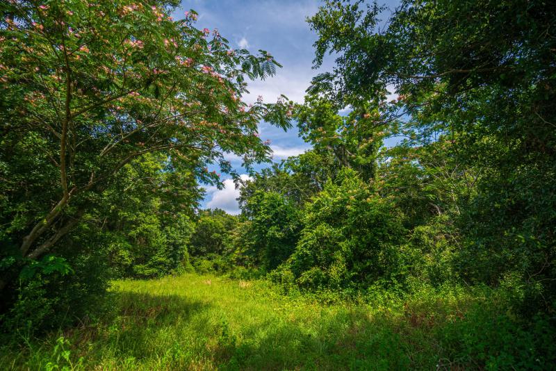  Commercial & Industrial Land Images 