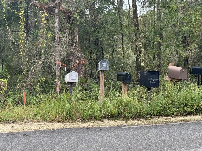 Duplex, Triplex and Fourplex Images